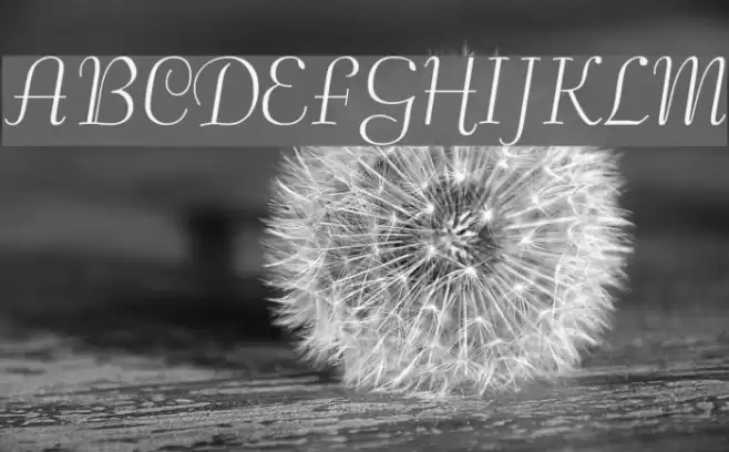 Safrole Schriftart examples