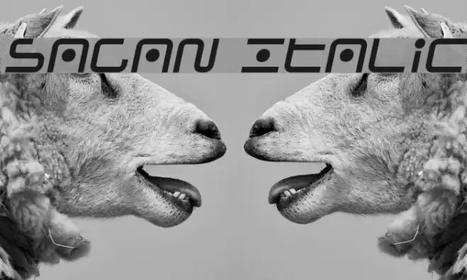 Sagan Italic Font examples