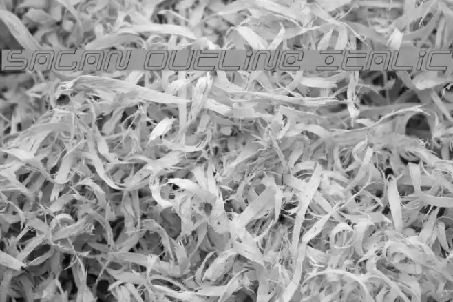 Sagan Outline Italic Font examples