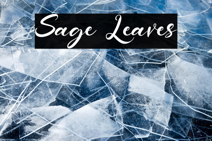 Sage Leaves Example 2