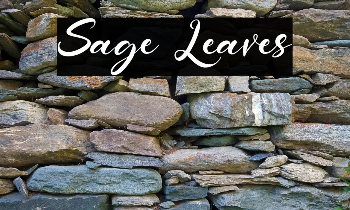 Sage Leaves Example 3