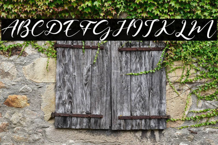 SageLeaves Example 3