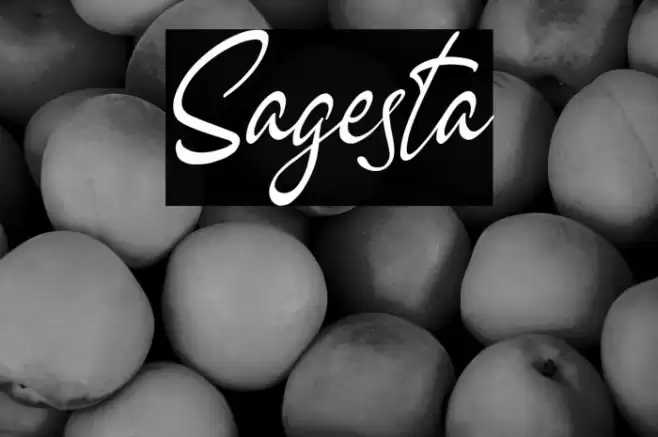 Sagesta Font examples