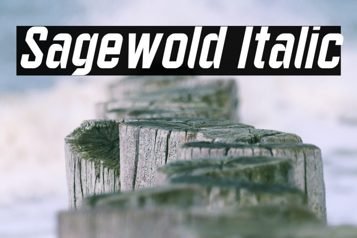 Sagewold Italic Example 1