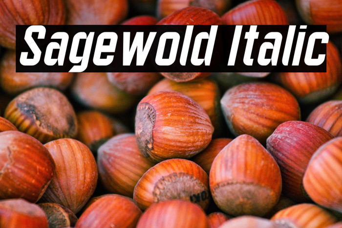 Sagewold Italic Example 3