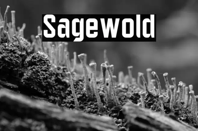 Sagewold Font examples