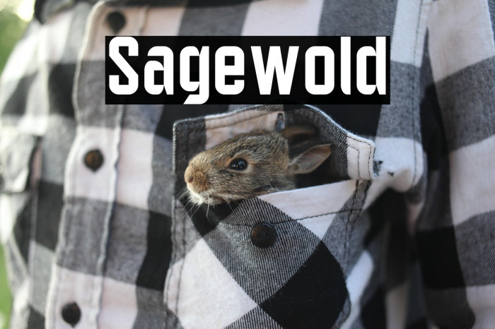 Sagewold Example 3