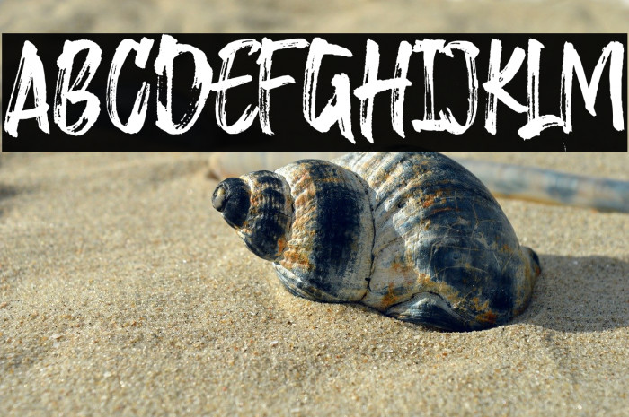 Saggacity Regular Example 2