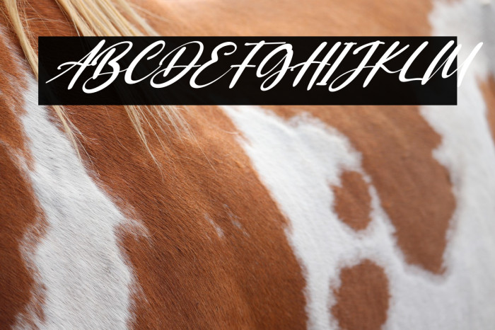 Saggitarius Italic Example 3