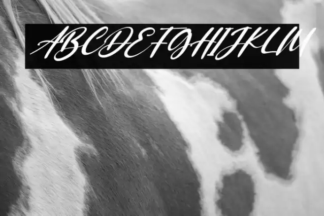 Saggitarius Italic Font examples