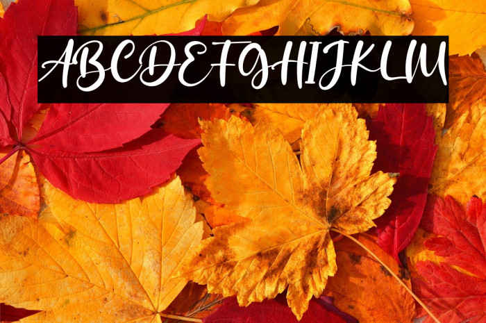 Saggitarius Example 3