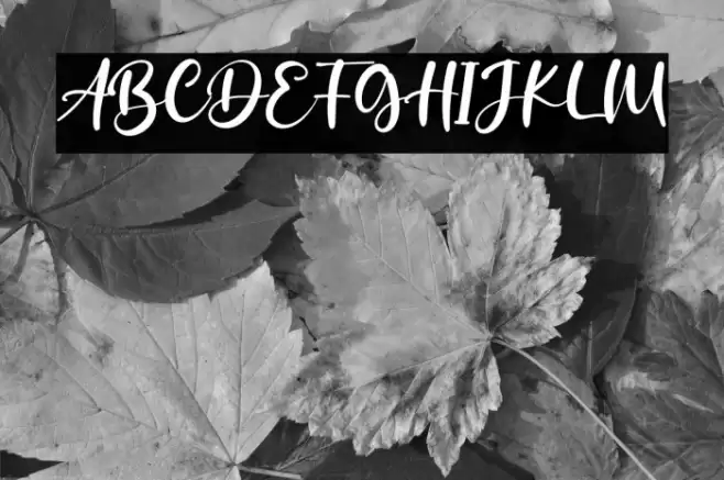 Saggitarius Font examples