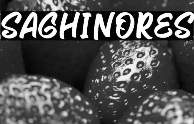 Saghinores Font examples