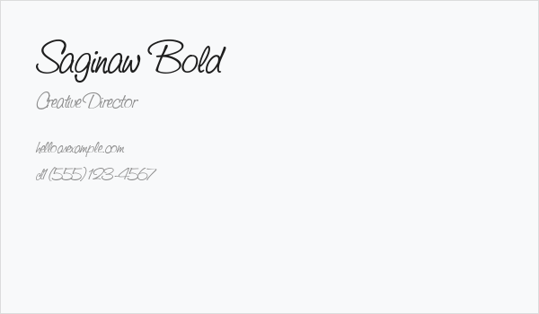Saginaw  Bold Business Card