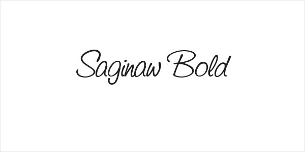 Saginaw  Bold Logo