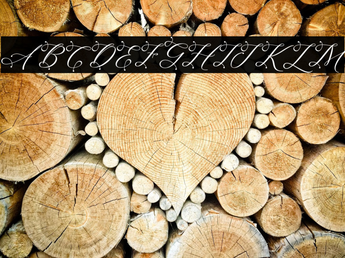 SagitaScript Example 1