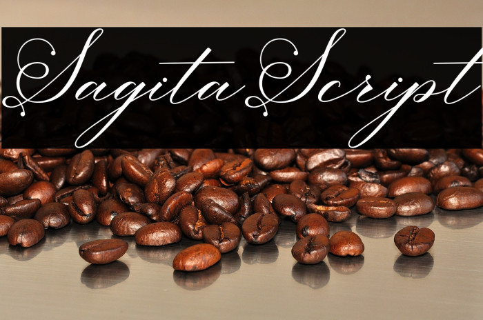 SagitaScript Example 1