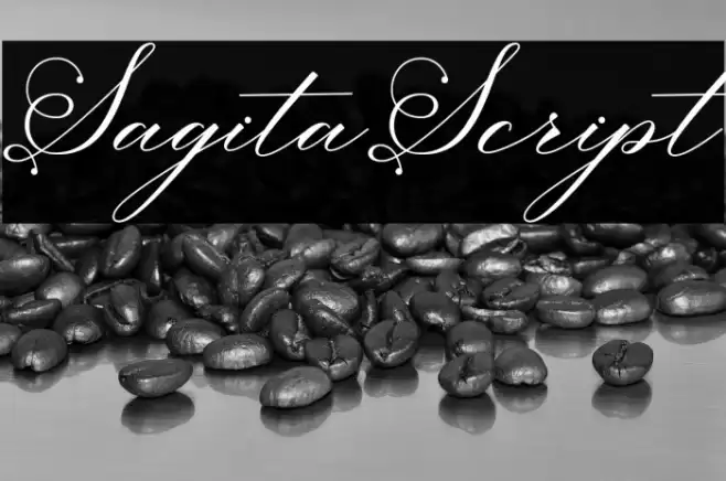 SagitaScript Font examples