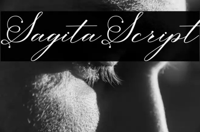 SagitaScript Font examples