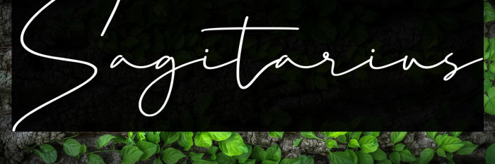 Sagitarius Example 3