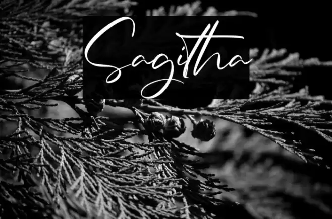 Sagitha Font examples