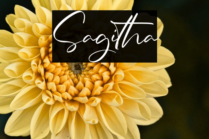 Sagitha Example 3