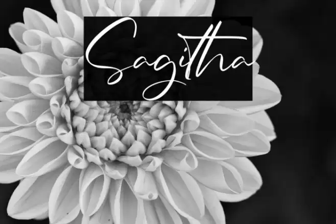 Sagitha Font examples