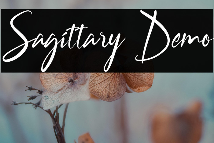 Sagittary Demo Example 2