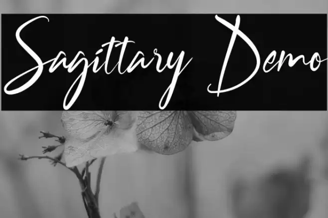 Sagittary Demo Font examples
