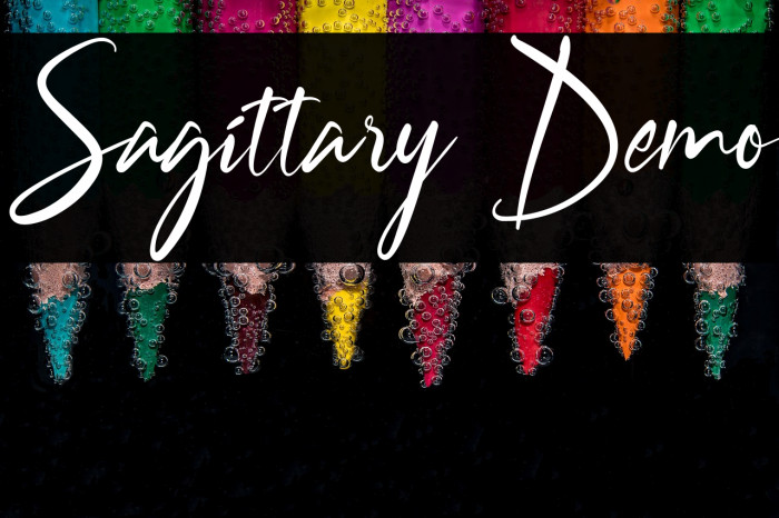 Sagittary Demo Example 3