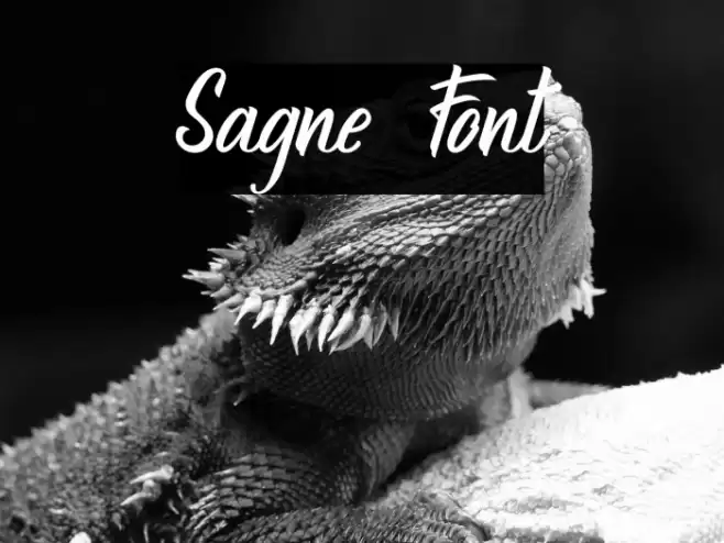 Sagne Caratteri examples