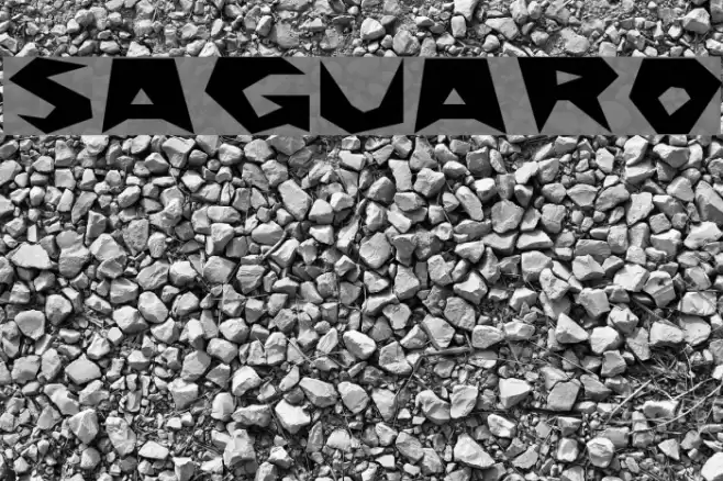 Saguaro Font examples