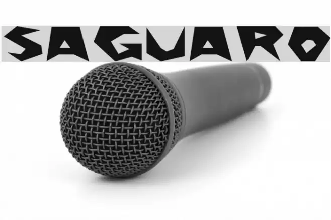 Saguaro Font examples