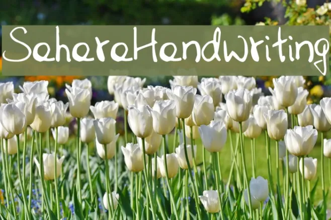 SaharaHandwriting Example 1