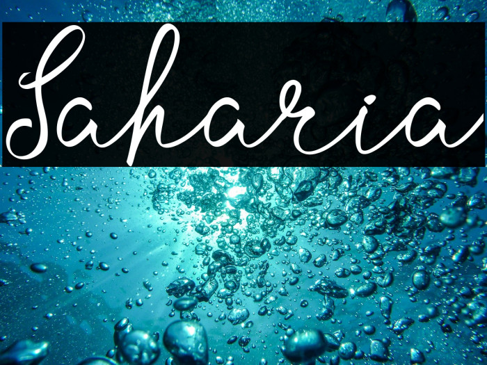 Saharia Example 1