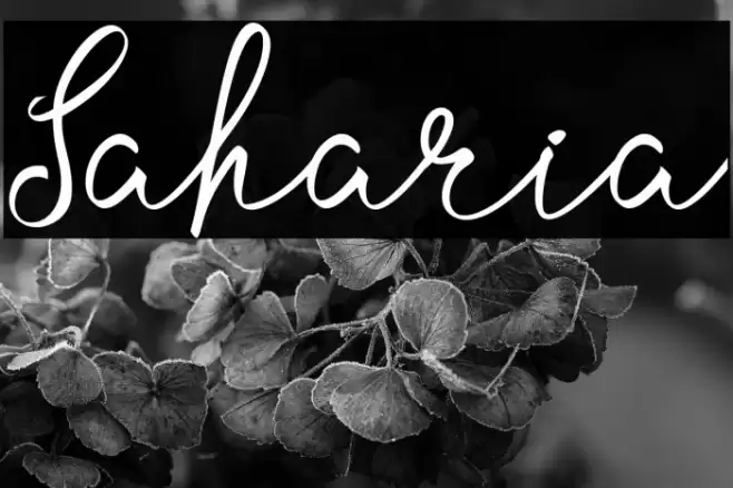 Saharia Font examples