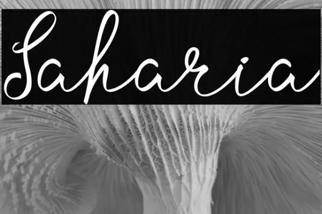 Saharia Font examples