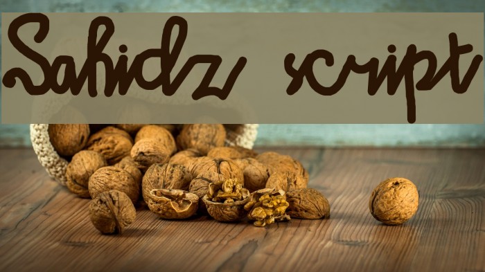 Sahidz script Example 1