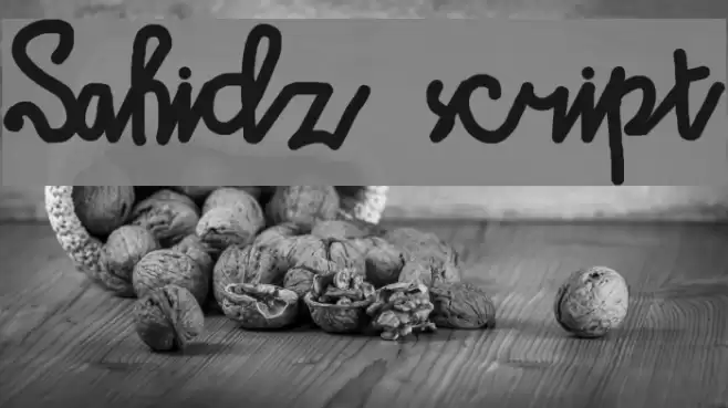 Sahidz script Font examples