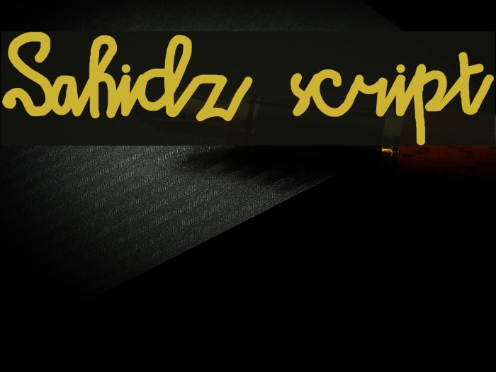 Sahidz script Example 2