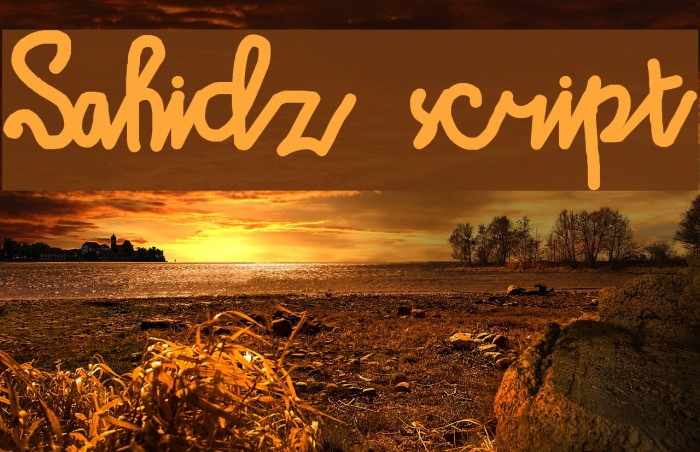 Sahidz script Example 3