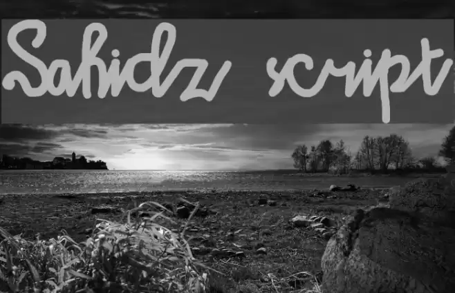 Sahidz script Font examples