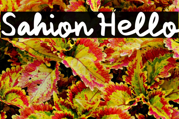 Sahion Hello Example 3