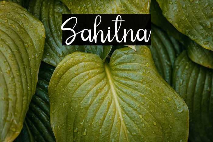 Sahitna Example 2