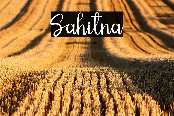 Sahitna Example 3