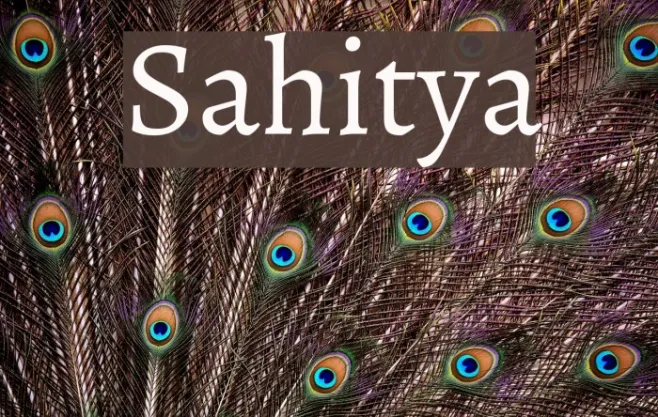 Sahitya Example 1