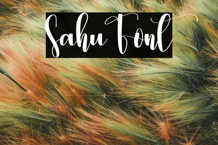 Sahu Example 1