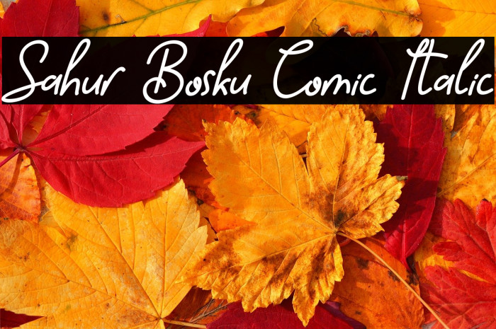 Sahur Bosku Comic Italic Example 1