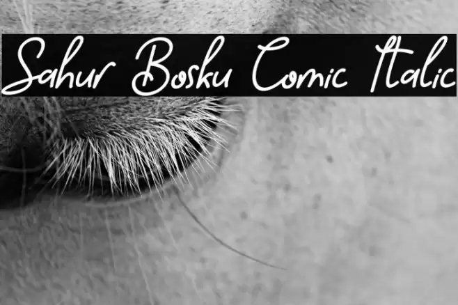 Sahur Bosku Comic Italic Font examples
