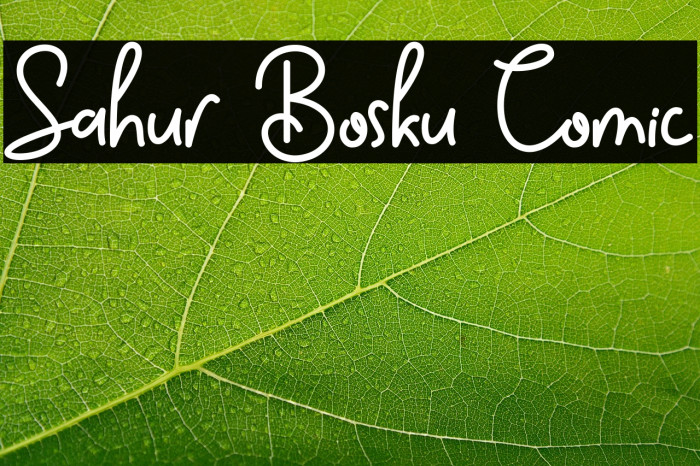 Sahur Bosku Comic Example 2